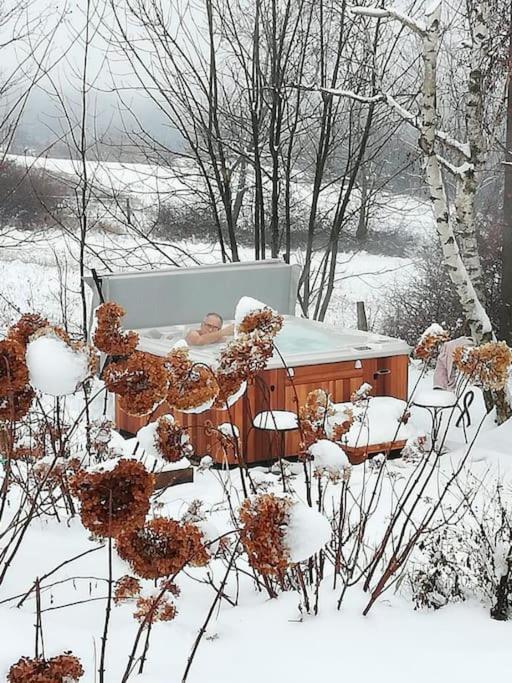 Gîte de charme pour couple avec sauna et jacuzzi extérieurs privatifs Peaugres Exterior foto